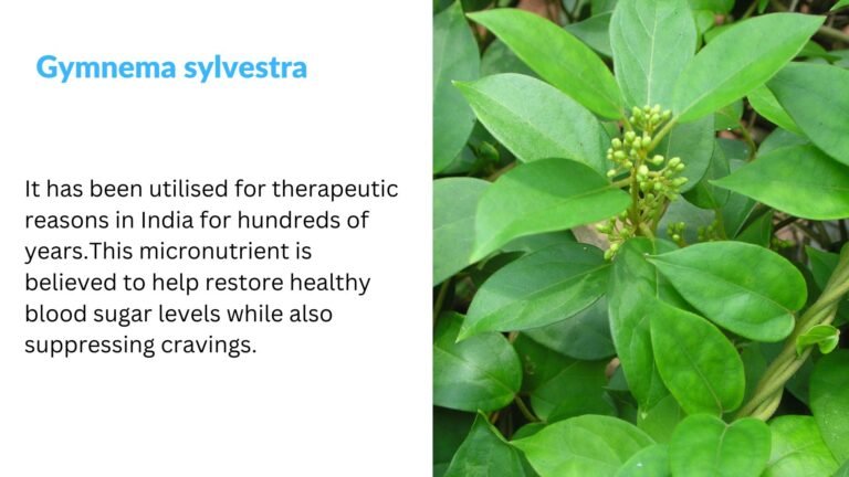 Gymnema sylvestra