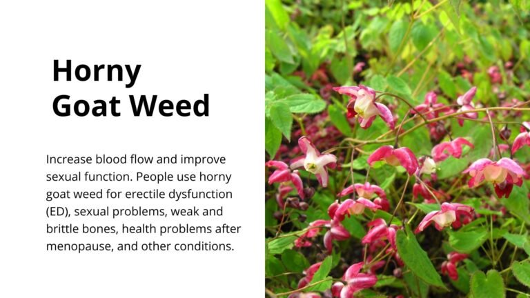 horny goat weed