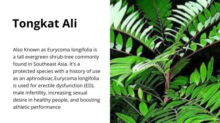 Tongkat Ali