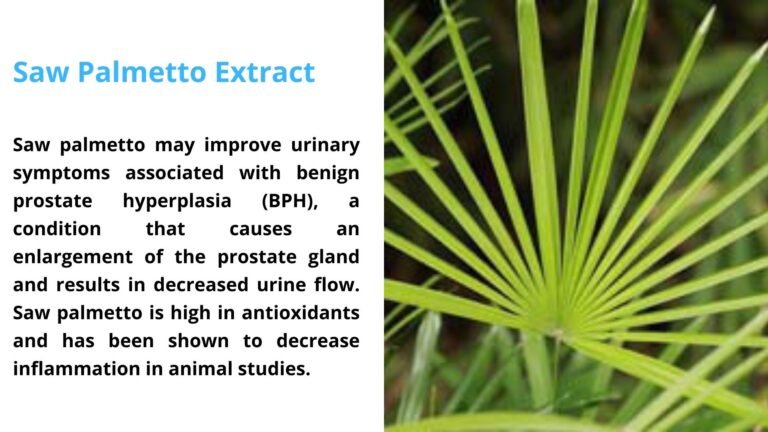 Saw Palmetto Extract
