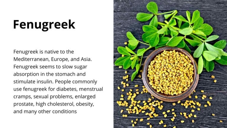 Fenugreek