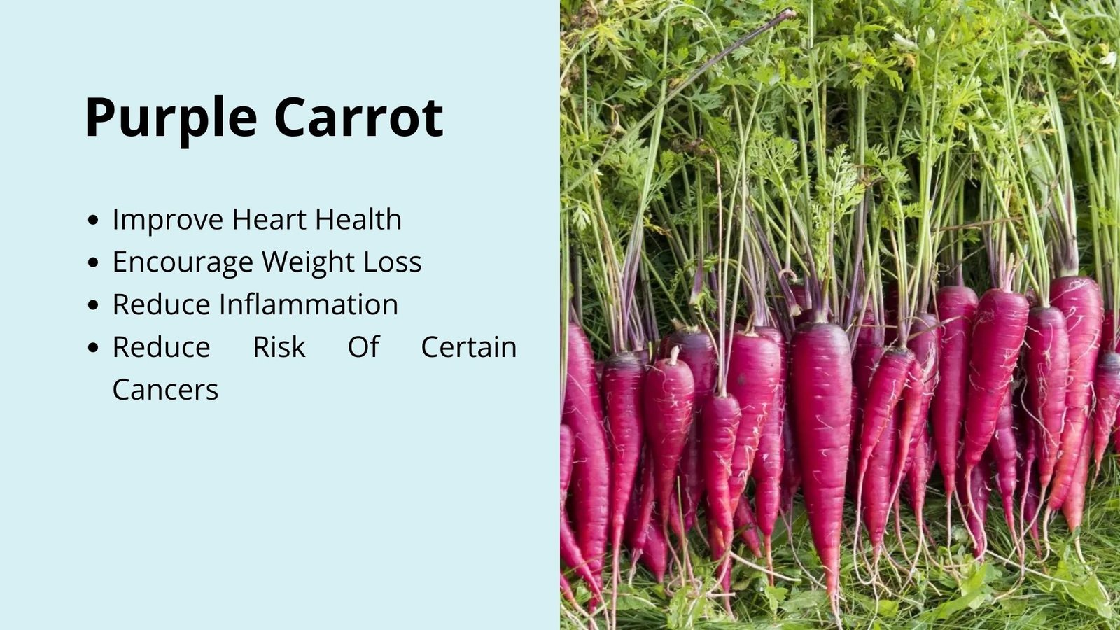 Purple carrot