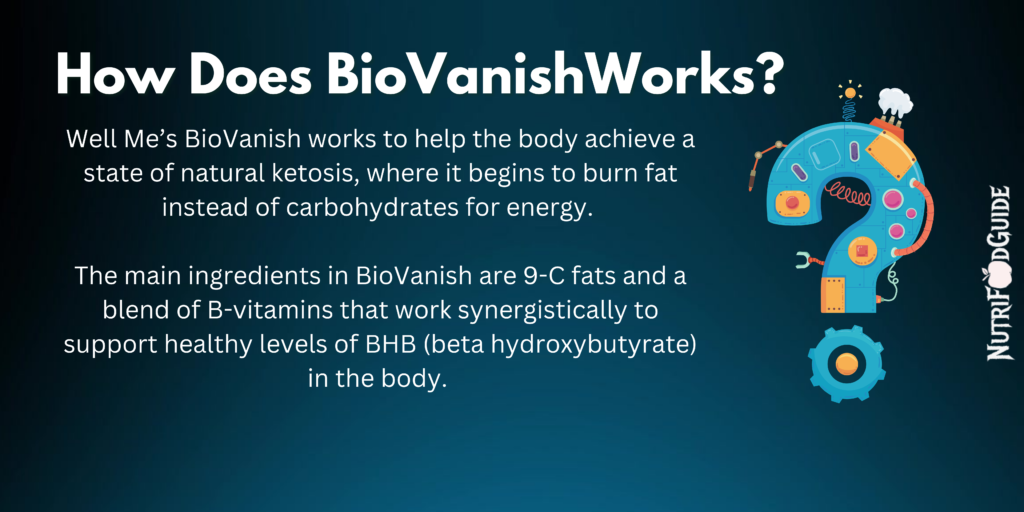 How does Well Me BioVanish works in your body?