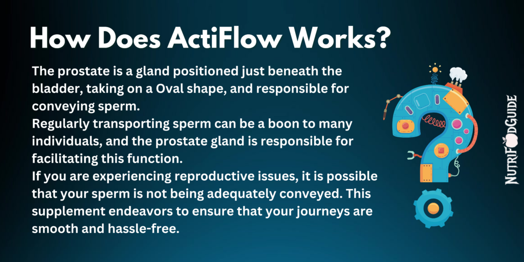 How does Actiflow works in your body?