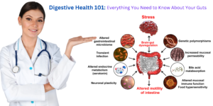 Read more about the article Digestive Health 101: Everything You Need to Know About Your Guts