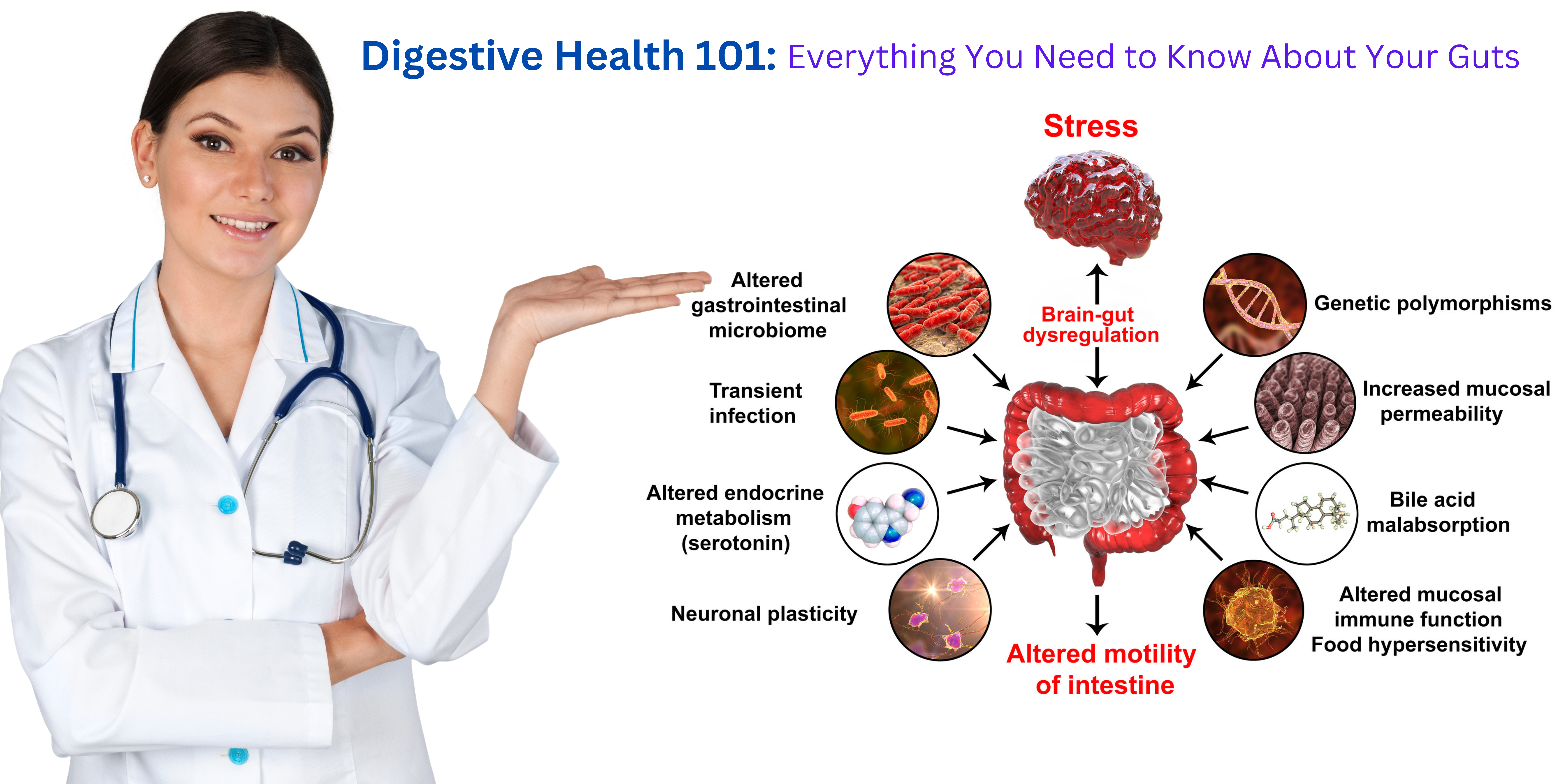 Digestive Health 101: Everything You Need To Know About Your Guts