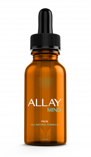 Allay Mind review