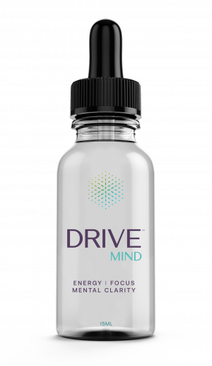 Drive Mind Review