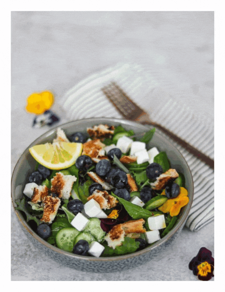 Vegetarian Recipe Pack