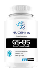 GS-85 REVIEW