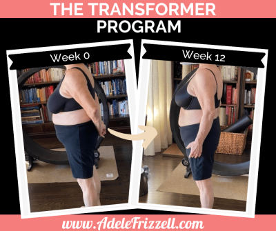 Transformer Program Result 2 0 to 12 weeks Transformer Program Result